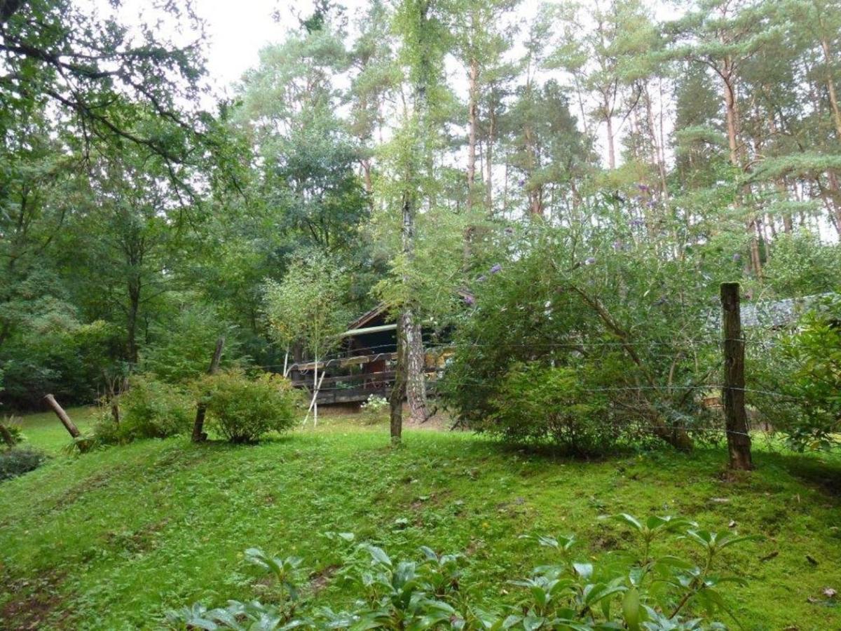 Cosy Chalet With Private Sauna In Bousseviller Værelse billede