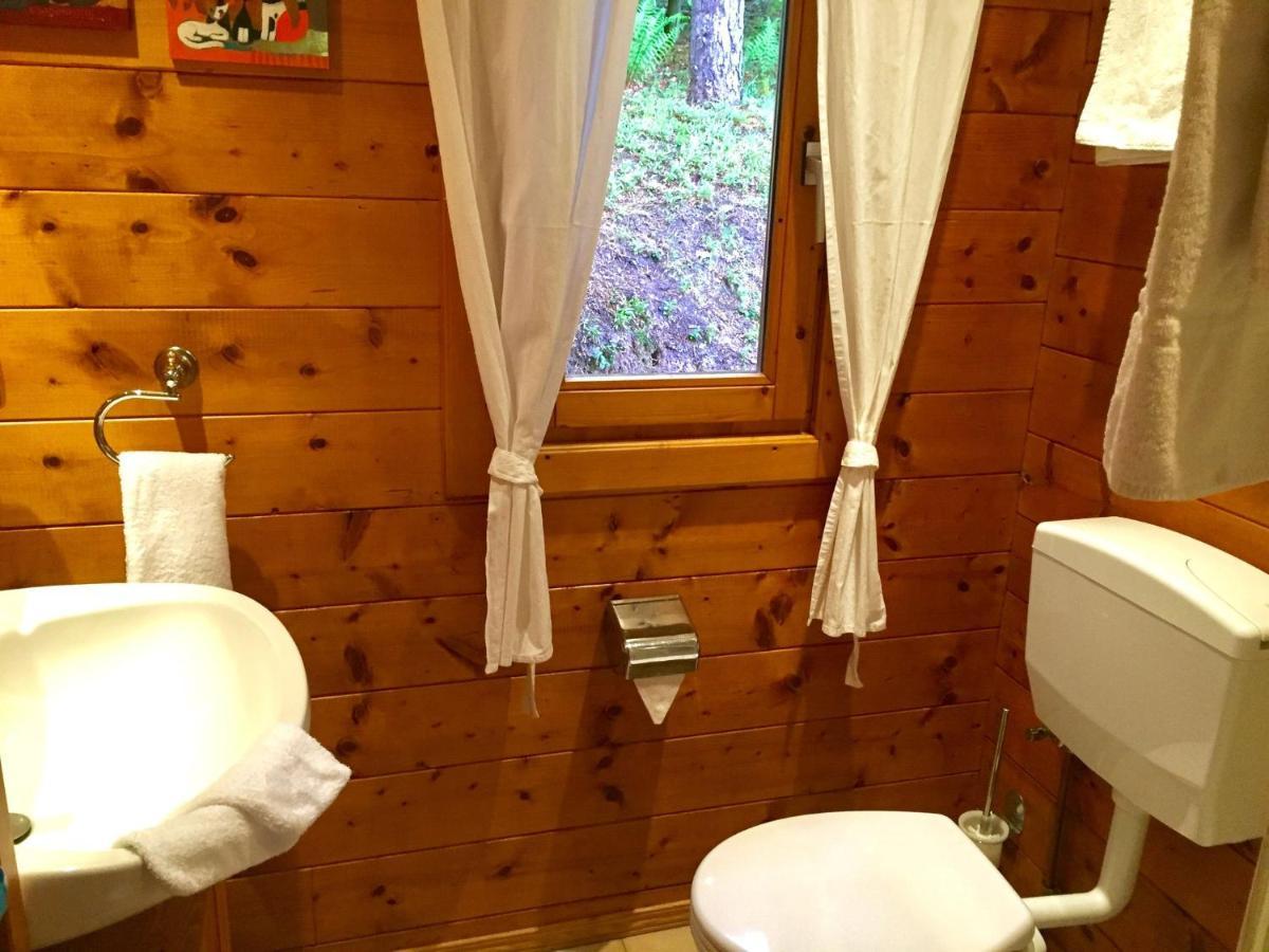 Cosy Chalet With Private Sauna In Bousseviller Værelse billede