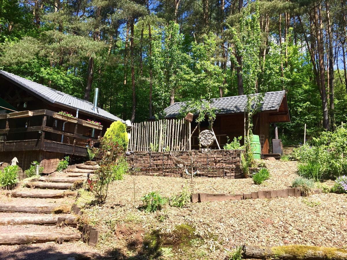 Cosy Chalet With Private Sauna In Bousseviller Eksteriør billede