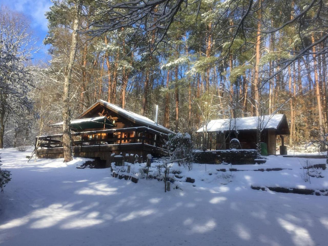 Cosy Chalet With Private Sauna In Bousseviller Eksteriør billede